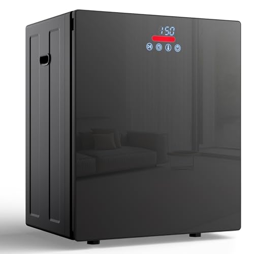 Gleedelish Secadora portátil de 9 libras, secadora de ropa de 850 W con 4 modos, control de panel LCD, máquina de secado de 1.5 pies cúbicos para apartamento, dormitorio, RV, aspecto de espejo, color