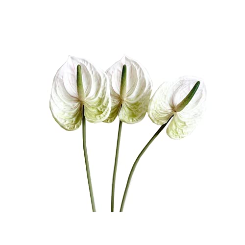 26 "Artificial Anthurium Lily Flowers Permanent Flower, 3 Pcs Tropical Imitation Plant Flower Bouquets for Table Centerpieces and Bridal Wedding Festival Decor Flower (White)