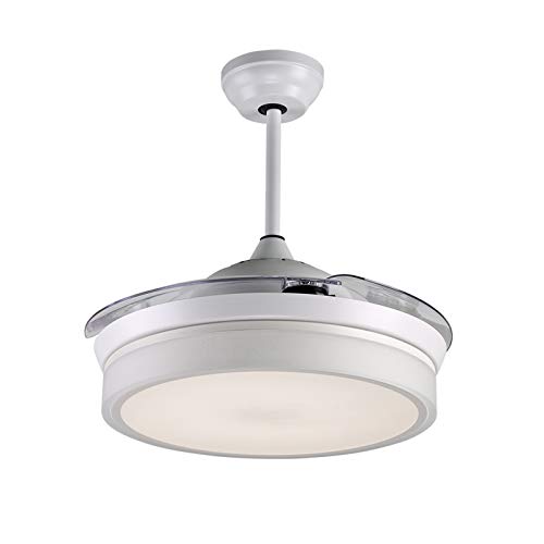 Reiga 44-Inch White Modern Ceiling Fan Retractable Blades With 3 Colors Change Led Lights thumb #1