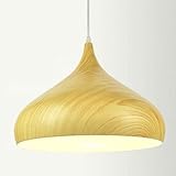 Design moderne et élégant : la suspension combine le style nordique et vintage, ce qui en fait un décor parfait pour votre chambre, salon, couloir, café, bureau, etc., adapté à votre goût, ajoute un élément charmant à l'esthétique de votre vie.