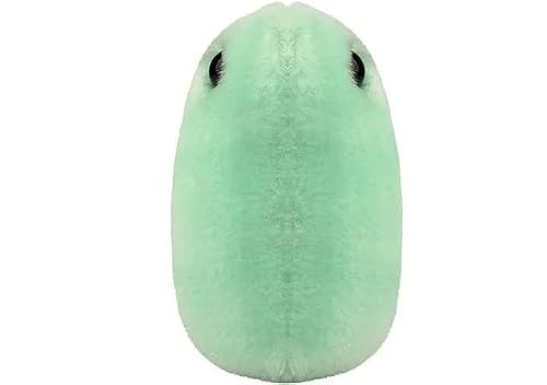 Giantmicrobes Flu Plush – Learn How The Influenza Virus Targets Your Respiratory System, Educational Gift For Students, Doctors, Nurses, Scientists, Friends And Anyone With A Healthy Sense Of Humor #TOP2