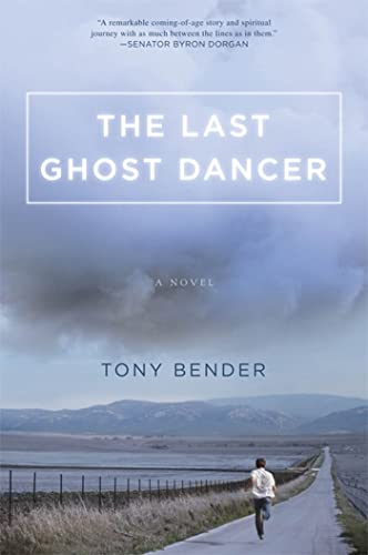 The Last Ghost Dancer view 2