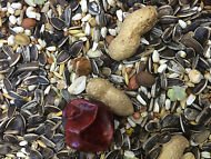 Colonels Parrot Feast 12.5 Kg