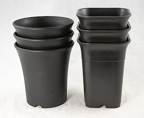 6 Mix Square/Round Black Plastic Cascade Bonsai Training Pot, Cactus & Succulent, Orchid Planter...