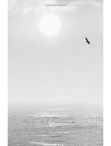 JOHNATHON LIVINGSTON SEAGULL - image 5