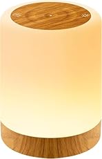 Auxmir Lámparas de Mesita de Noche, Recargable USB...