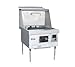 Town Foodservice Equipment M-1-STD Lp Masterrange, 1 Chamber, Refractory Brick Insulation, Painted