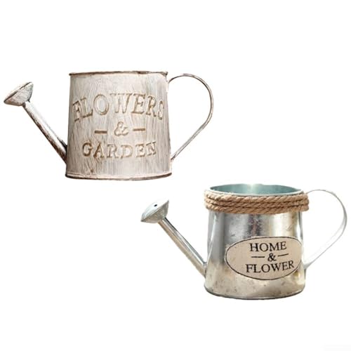 Regadera compacta de hierro, macetas de estilo vintage, jarrón de metal, decoración de jardín (El viejo)