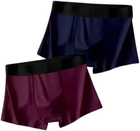 Men’s Nylon Boxer Briefs | Stretchable Quick-Dry Underwear for Men | Soft Breathable Moisture-Wicking Innerwear | Gym Wear Trunk Shorts | Men’s Boxers | Pack of 2