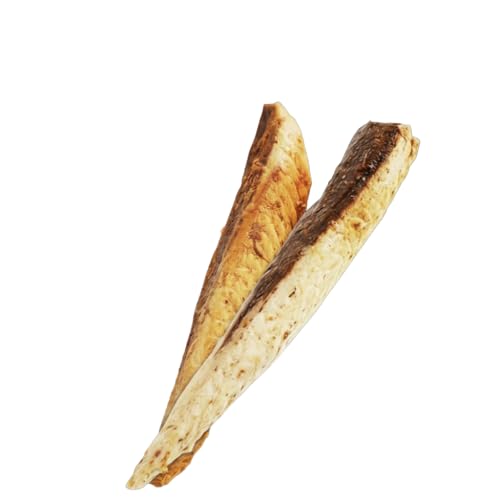 塩レモン味 10本 プロテインバー かつおスティック 鰹バー カツオ スポーツ 筋トレ たんぱく質 ダイエット 健康 災害備蓄 保存食 防災食 栄養補給 プロテイン 常温保存 個包装