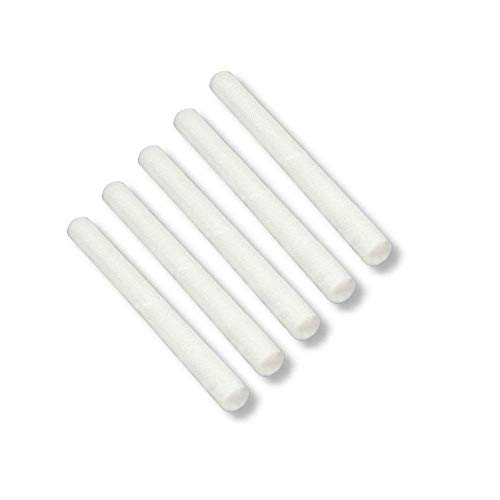 BerryKing 5x Filtres de remplacement pour le purificateur d'air Healthbulb[Dimensions 0,7 x 13 cm].