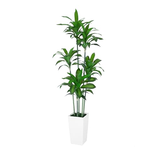 Dracaena-Trees-Artificial-Indoor-6FT-Tall-Faux-Tree-with-White-Tall-Planter-Artificial-Plants-with-Natural-Wood-Trunk-and-Lifelike-Leaves-for-Home-Office-Decor Dracaena Trees Artificial Indoor 6FT Tall Faux Tree with White Tall Planter Artificial Plants with Natural Wood Trunk and Lifelike Leaves for Home Office Decor
