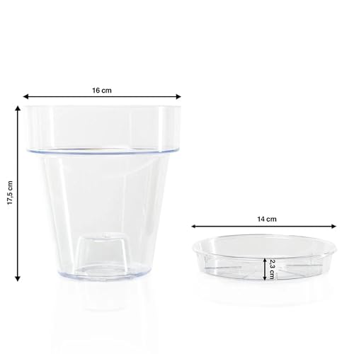 Pot pour orchidée transparent contre l'excès d'eau et racines pourries - 3