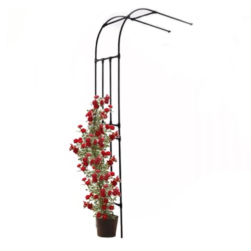 Arche de support robuste en acier noir haute de 2,40 m pour pergola - 2