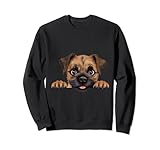 Photo Gallery cane di razza cucciolo border terrier che vuole le coccole felpa Photo Gallery cane di razza cucciolo border terrier che vuole le coccole felpa
