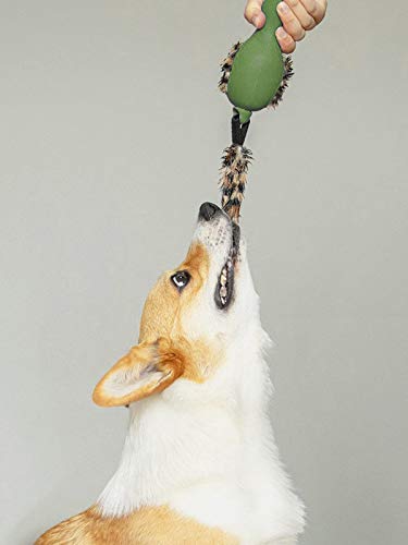 GiGwi Gummi-Ente Hundespielzeug 'Push to Mute' leise und quietschendes Spielzeug interaktiv mit Plüschschwanz - Grün