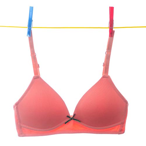 Alyce Intimates Girls, Teens & Petite Women Lightly Padded Bra, Pack Of 6 #TOP1