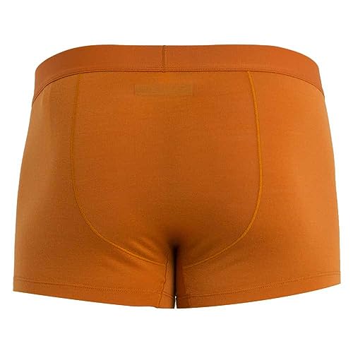 Icebreaker Merino Anatomica Cool-Lite Underwear-Trunk's4