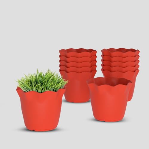 Image of YUCCABE ITALIA SHERA 4 Inch Plastic Flower Pot 12 Piece Set of Unbreakable Round Shape Planter for Home Garden Seedling, Indoor and Outdoor (Red)
