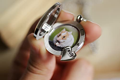 Pet Memorial Gifts, Pet Loss Gifts, Loss Of Dog Sympathy Gift, Dog Memorial Hair Keepsake Locket Cat Loss Necklace #TOP4