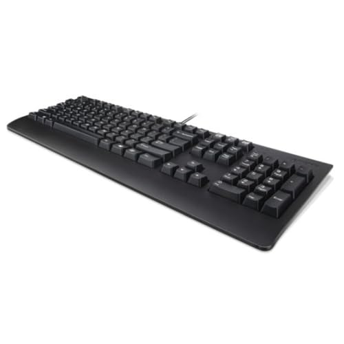 Lenovo Preferred Pro II USB QWERTZ Tchèque Noir - Claviers (Standard, Avec fil, USB, QWERTZ, Noir)