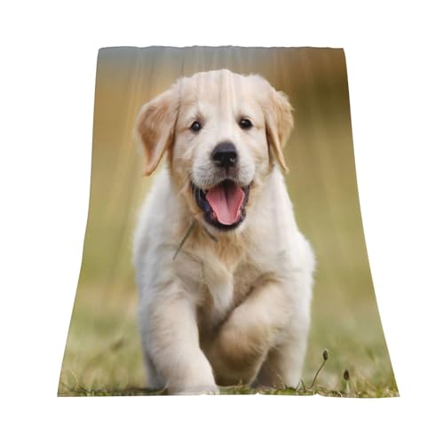 Couverture flanelle Labrador Retriever 152x127 cm
