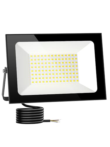 100W LED Floodlight IP66