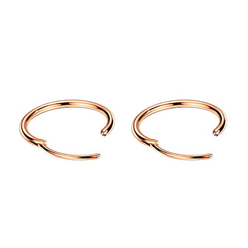 Image of 316L Surgical Steel Endless Hoop Earrings with 16g Tube for Women Silver /Gold /Rose Gold /Black 8mm /10mm /12mm