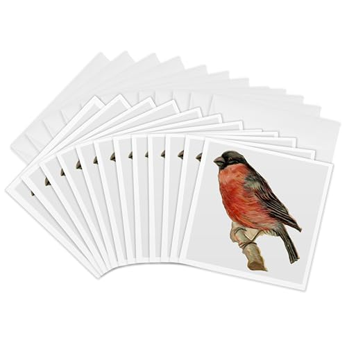 Dooni DesignsBe[WfUC ? Be[WPerched Red Robin Bird Illustration ? Greeting cards-12O[eBOJ[htiGC 104659 _ 2 )