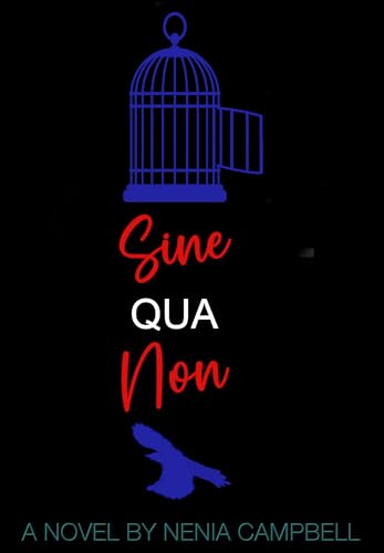 Sine Qua Non: A dark stepbrother romance (Nick & Jay Book 2)