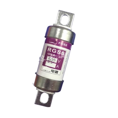 Fusible à boulonner RGS6 60A gSA 500V fusible céramique rapide pour disjoncteur