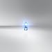 Osram 2825HCBI-02B Lámpara halógena Cool Blue Intense W5W, Luz de Posición y...
