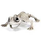 Suzile Halloween Skeleton Animals Skeleton Decorations with Posable Joints Plastic Bones for Halloween Party Photo Prop Decoration, Graveyard Spooky Decor Indoor Outdoor Scene Party(Frog)
