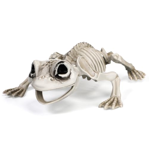 Suzile Halloween Skeleton Animals Skeleton Decorations with Posable Joints Plastic Bones for Halloween Party Photo Prop Decoration Graveyard Spooky Decor Indoor Outdoor Scene Party(Frog)