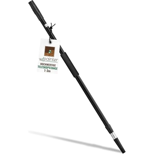 Barra Telescópica De 3 M Mango Telescópico Universal Barra Telescópica De Aluminio Extensible Ideal Para Limpieza De Piscinas, Rodillo De Pintura, Limpieza De Ventanas, W4 Painter Rosca De