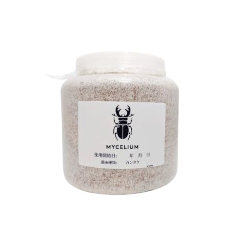 MYCELIUM ێr2300cc iJ^Pj zCg 񎟔 NK^cp ^`^ i10.5cmȏj 򉻂Â炢 NA{g ώ@\ ʋCtB^[ SҌ {