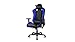 Drift DR85BL - Silla Gaming Profesional, Polipiel, reposabrazos 2D, Piston Clase 4, Asiento basculable, Altura Regulable, Respaldo reclinable, Cojines Lumbar y Cervical, Color Negro/Azul