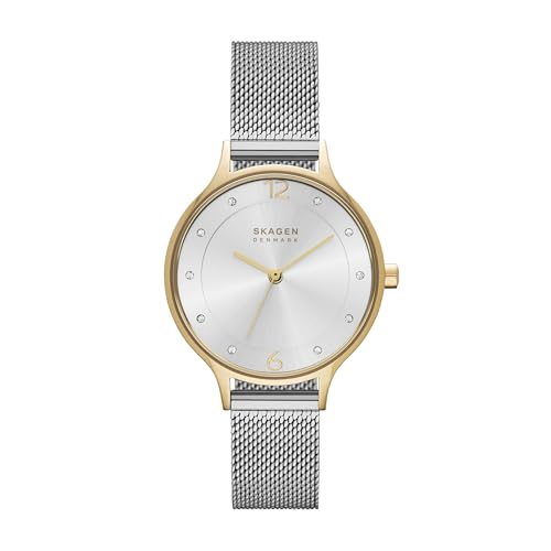 Skagen Anita Lille SKW2340 Silver Mesh Watch