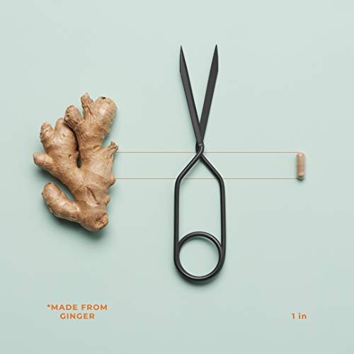 Life Seasons - Premense-T - Pms Relief Supplement - For Pre Menstrual Symptoms, Cramping, And Soothing Period Relief - Contains Ginger, Dong Quai, Crampbark, Vitamin B-6-60 Capsules #TOP2