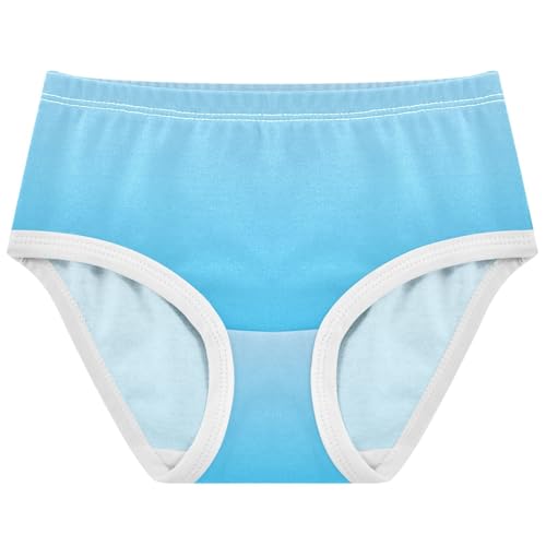 Joisal Pattern Toddler Underwear Floral 2t Cotton Panties Little Girl Sky Blue Ombre Briefs Underpants