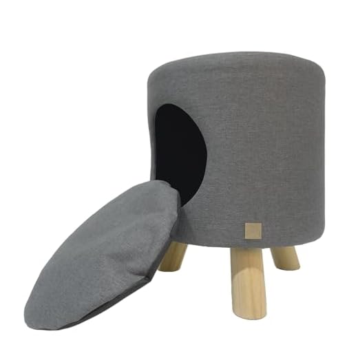 Stylish Wallie Stool for Pets