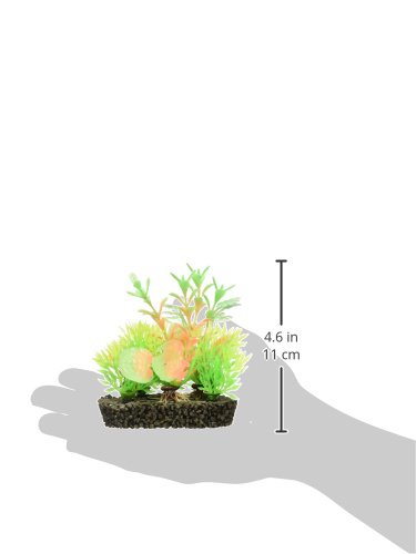 Penn-Plax Ajpg40 Aquarium Decor #TOP8