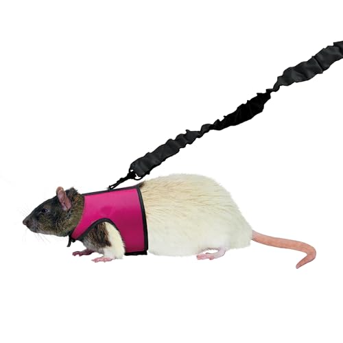 Kaytee Comfort Harness and Stretch Leash, Small - image 5