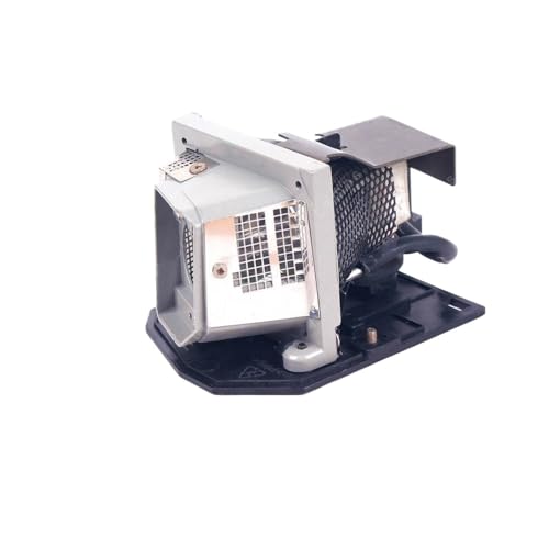 Vidéoprojecteur ampoule Np10lp lampe de rechange pour Nec Np200 Np100