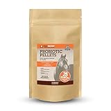 FullBucket Equine Probiotic Pellets with Saccharomyces boulardii for Horses Under Stress or for Horses with Digestive Issues - 25 Billion CFUs - 30 Servings