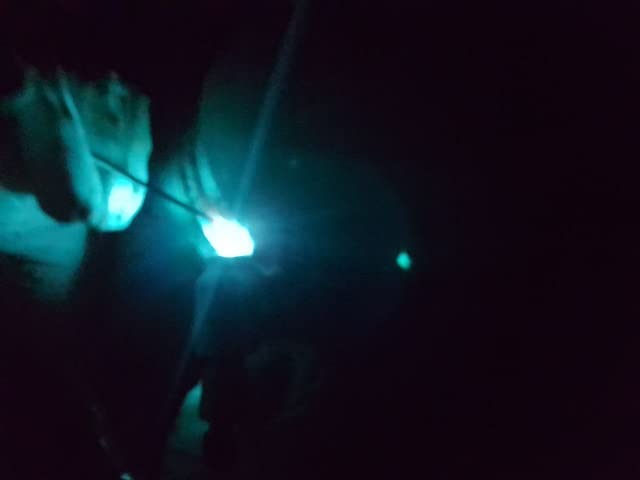 Protektus Turquoise Blue Lens