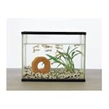 バイオミニブロック ds-756888