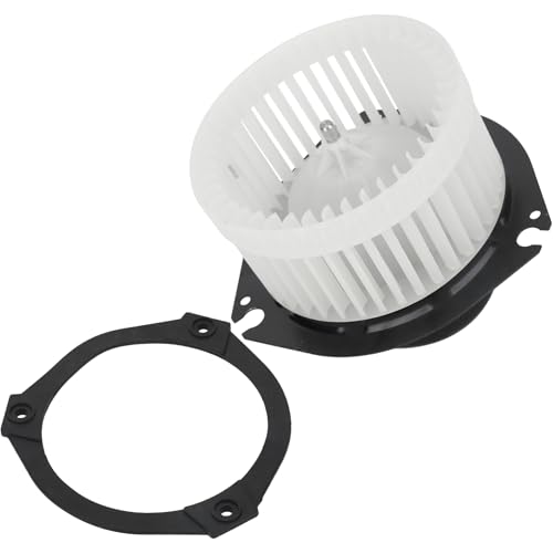 Image of 700073 HVAC Blower Motor Assembly w /Fan Cage fit for Chevy 01-03 Impala /00-04 Corvette /01-03 Monte Carlo, for Buick 01-04 Regal /Century, for Olds 01-02 Intrigue, for Pontiac 00-03 Grand Prix