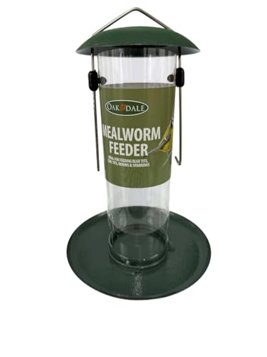 Oakdale Mealworm Feeder for Birds | Easy Clean & Refill Hanging Tray | Attracts Robins & Small Garden Birds | All-Weather Durable Design | For Trees Feeding Stations & Gardens