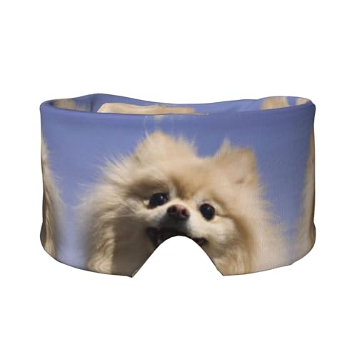 킢|jAvgX[v}XNAYAfB[XA\tgACJo[AhX[vC[}twbhohsAQp